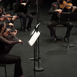 Power Out At The Beginning Of “The Wild Orchestra”