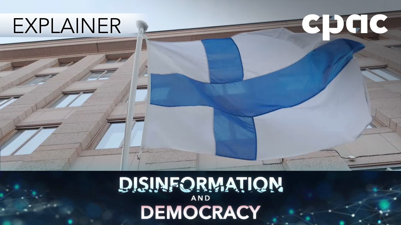 What are other countries doing to counter disinformation?