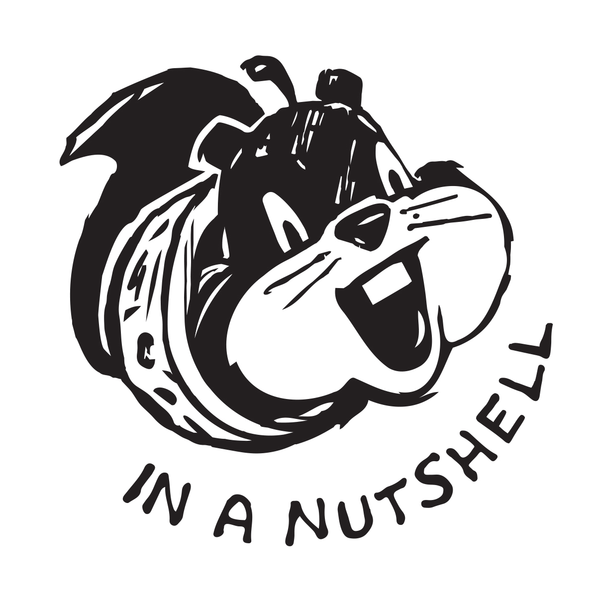 In a Nutshell – Undergraduate research competition