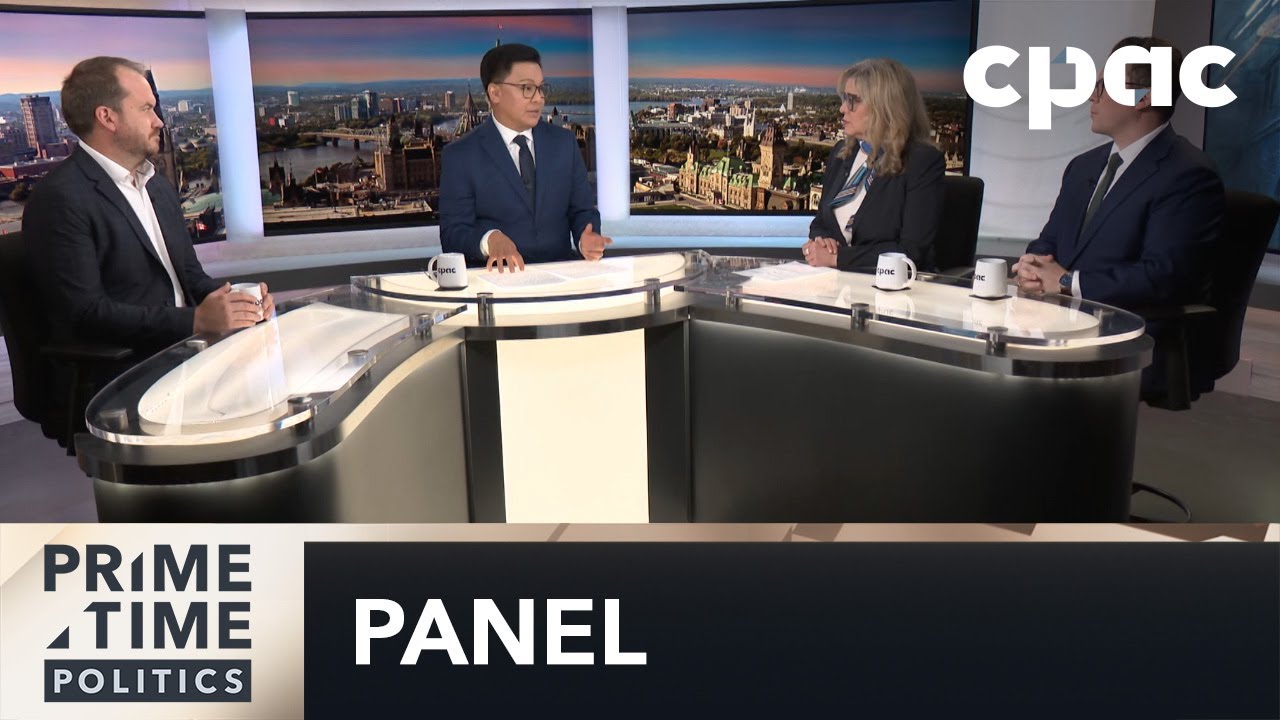 Leaked Comments on the Gun Buyback Program: Strategists Panel