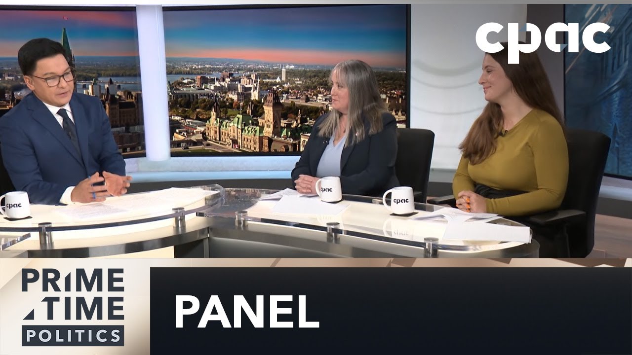 Mark Carney's pre-budget speech analysis: Political panel